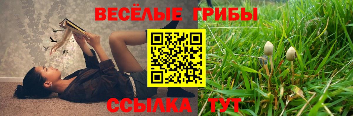 Усть-Джегута  Галлюциногенные грибы Cubensis  Вход с VPN  Псилоцибиновые грибы Psilocybine cubensis 